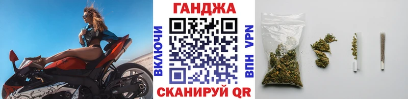 Конопля планчик Гаджиево